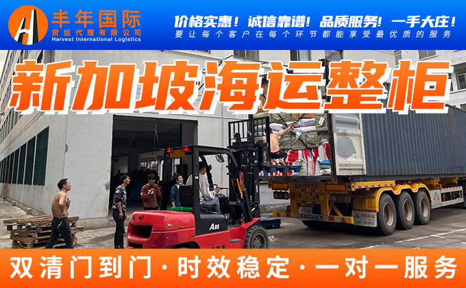 中國出口新加坡海運整櫃的流程-华体汇体育中心物流