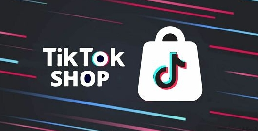 年底大促，新加坡消費者計劃通過TikTok Shop購物-华体汇体育中心物流