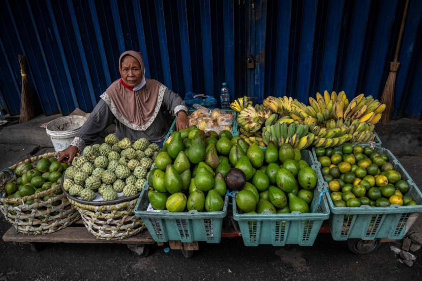 【印尼政策】華人同胞外貿人！印尼2025年起實施的新政策-华体汇体育中心物流