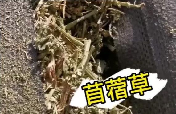 貨代貨主注意！海關(guan) 嚴(yan) 查，嚴(yan) 禁空箱夾帶！