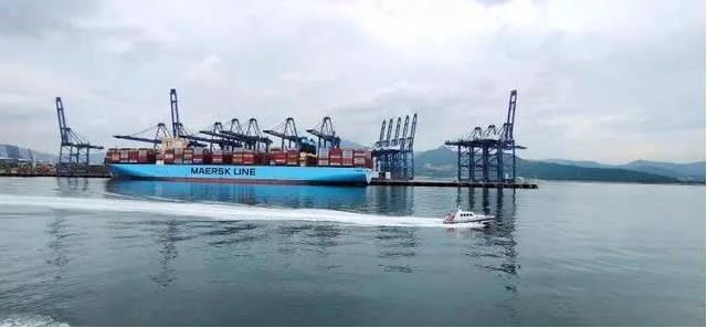 無視疫情影響！深圳鹽田港上半年集裝箱吞吐量仍增長21%！-华体汇体育中心物流